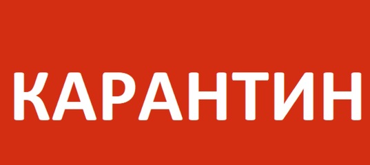 ПОМ’ЯКШЕННЯ КАРАНТИНУ НА ВЕЛИКОДНІ СВЯТА НЕМОЖЛИВЕ – ОП