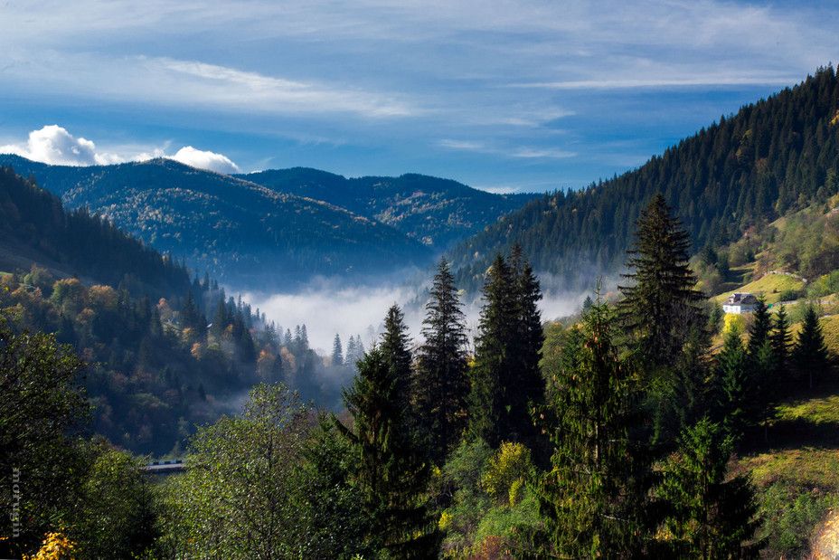 Впала зі скелі: поліцейські розслідують загибель франківки в Карпатах