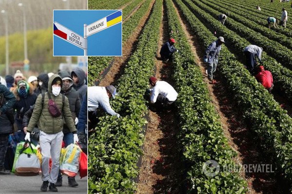 Чехія опинилася на межі катастрофи без українських заробітчан