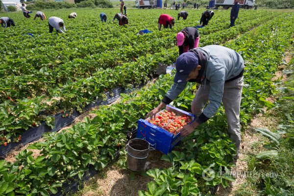 Польща скасувала 14-денний карантин для українців: озвучені деталі
