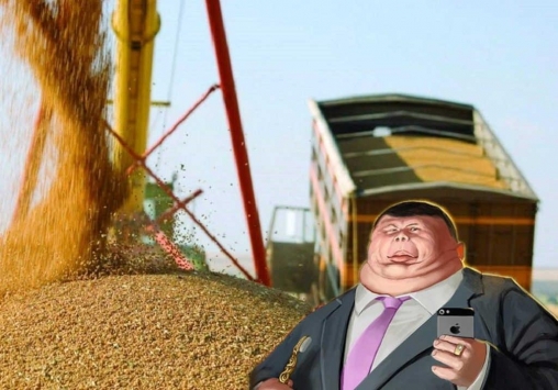 “Ненажерливі гризуни”: на Тернопільщині “списали” на мишей “крадіжку” зерна на сотні мільйонів, українці шоковані