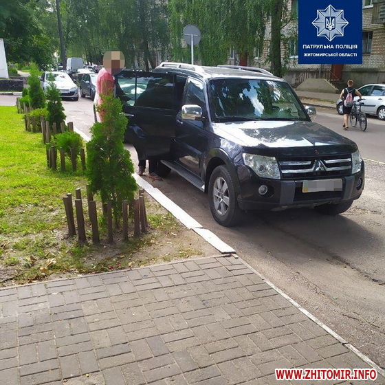 Багаті теж крадуть: у Житомирі жінка на дорогому авто вирвала з рук перехожої сумку