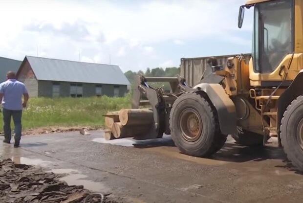 Під Франківськом зловили “чорних лісорубів” з сокирами – нарубали на мiльйони