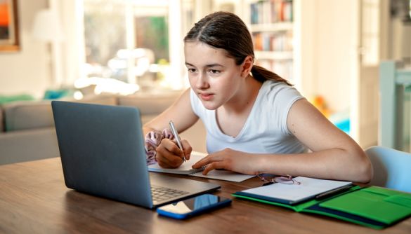 В УКРАЇНІ СУПЕРЕЧКИ ПРО ДИСТАНЦІЙНЕ НАВЧАННЯ ДІЙШЛИ МАЙЖЕ ДО ТОЧКИ КИПІННЯ: НА ЩО ЧЕКАТИ ТА ЯКІ РИЗИКИ