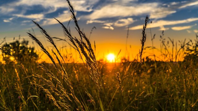 В Україну йде антициклон – погода готує багато “сюрпризів”