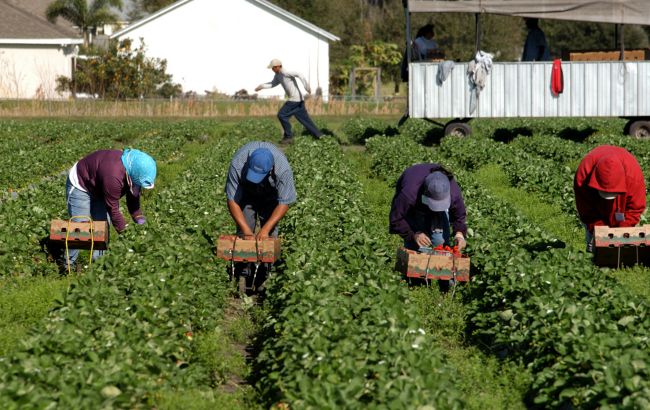 Заробітки на карантині: як змінилась трудова міграція під час епідемії
