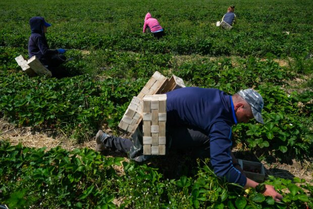 Улюблена заробітчанами країна закрила кордони для українців: коли можна буде поїхати знову