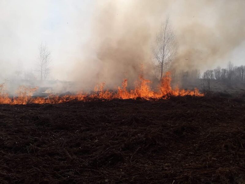 На Закарпатті масштабна пожежа: людей кличуть на допомогу (ФОТО, ВІДЕО)