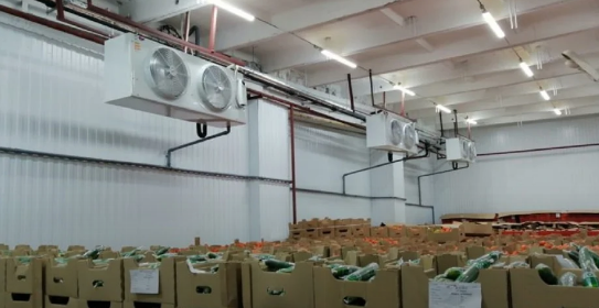 У Чехії на заробітках трагічно загинули двоє молодих хлопців з Львівщини