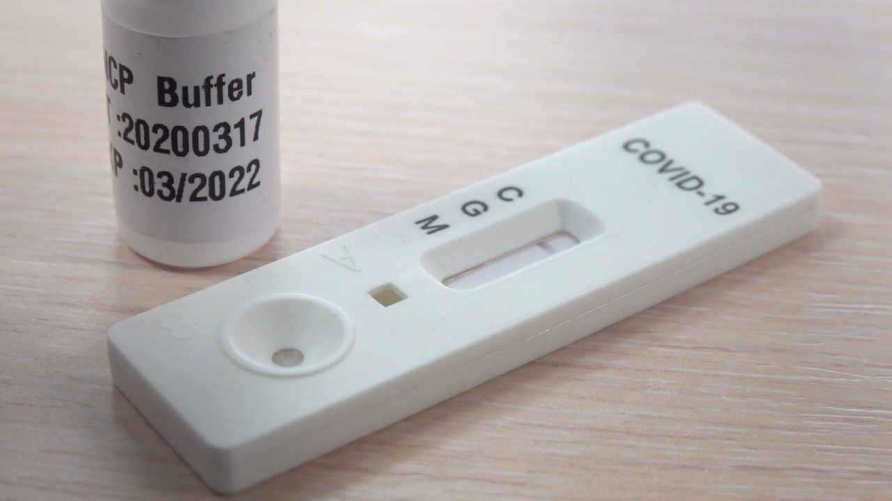 У Чехії суд скасував міру, що вимагає пред’являти негативний результат Covid-тесту перед поверненням в країну