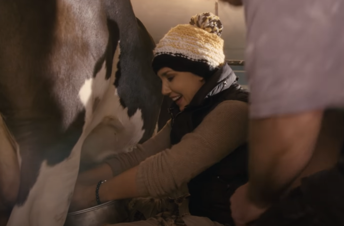 Мільярдерка Оксана Марченко подоїла корову (фото)