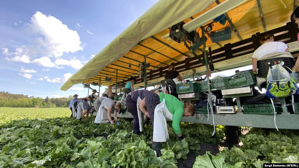 Польща спрощує працевлаштування українців