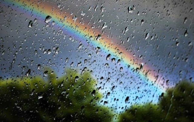 Спека не прийде: червень в Україні буде дощовим