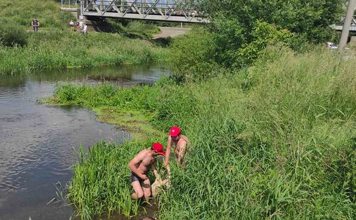 На Львівщині в річці втопився 14-річний хлопець