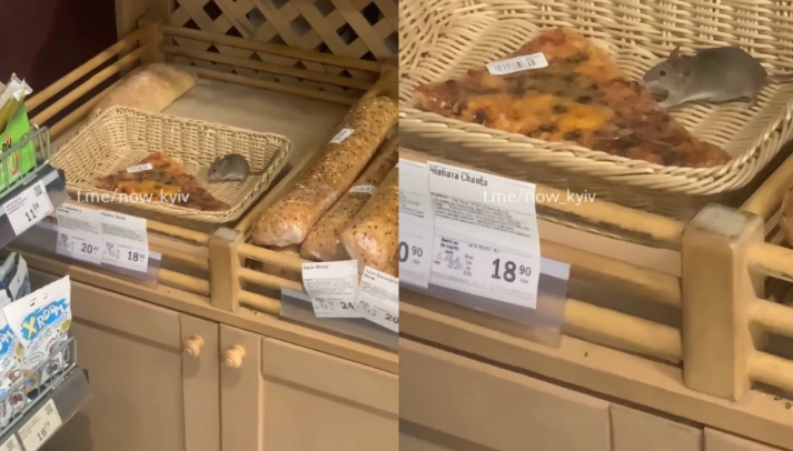 Покупцям було не до сміху: у супермаркеті миша на прилавку нахабно наминала продукти (ВІДЕО)