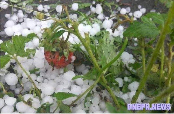 Вся земля була білою: у Дніпрі випав величезний град – фото, відео