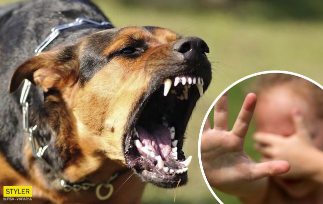 У Сумах охоронець будмайданчика нацькував собак на чоловіка з 8-річною дочкою: “рви на шматки”