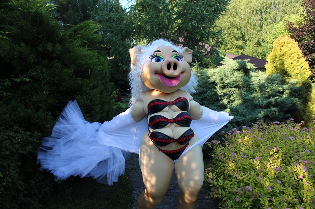 Дитячий центр у Львові заманює клієнтів стриптизом від свині Кароліни: дивні фото