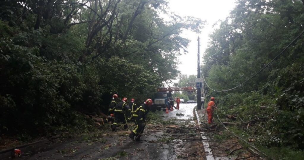 У Полтавській області дерево вбило підлітка