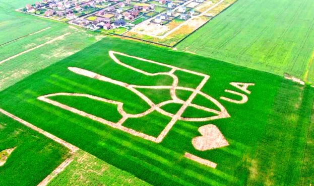 На полі біля Києва створили найбільший герб України. Фото