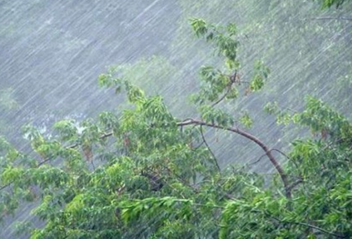 Грози, град та шквали: українців попередили про негоду