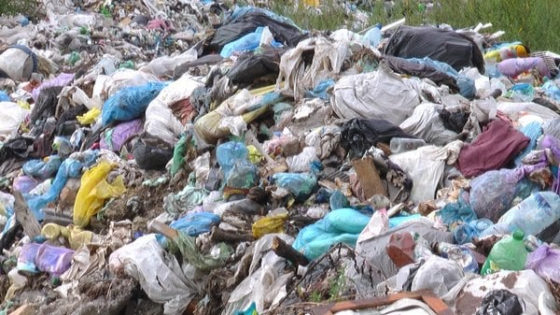 Щодня звозять тоннами: на Франківщині над Дністром 50 років незаконно існує сміттєзвалище (ФОТО)