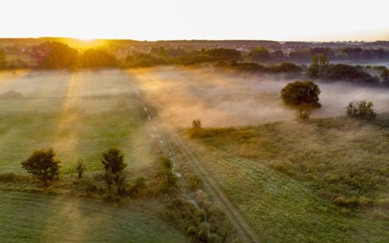Синоптики попереджають про погіршення погоди: де буде дощ та туман