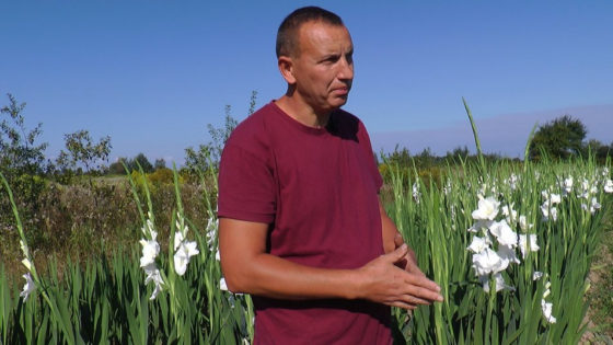 Як прикарпатець Василь Яковішак вирощує сезонні квіти (ВІДЕО)