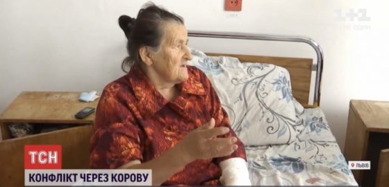 “Бив так, що поламав палицю”: на Львівщині староста села побив пенсіонерку через корову (ВІДЕО)