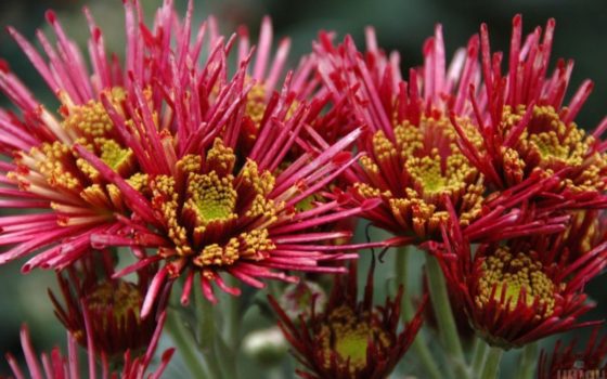 Від спеки до значного похолодання: якою цього року буде погода у вересні