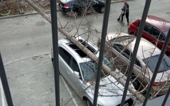 Піщана буря, повалені дерева та будинок, який обвалився: у Львові лютував буревій (відео)