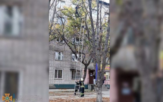 Рятувальники знімали з дерева вагітну жінку: вона не могла спуститись самостійно