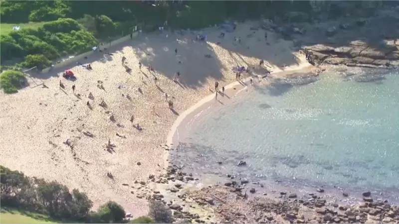 У Сіднеї акула вбила чоловіка. Це перший смертельний напад там за пів століття