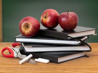 Міносвіти рекомендує припинити освітній процес у всіх навчальних закладах та оголосити канікули на два тижні