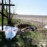 Чеського волонтера знайшли мертвим в братській могилі на Київщині