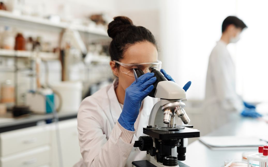 Небезпечна “віспа мавп” потрапила до Нідерландів: як вірус опиняється в організмі