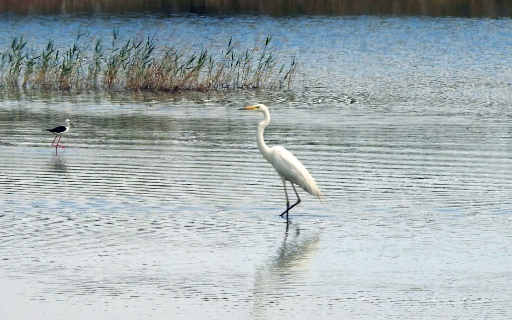 Гороскоп на 10 травня для всіх знаків зодіаку: день, коли пощастить тим, хто робить добрі справи