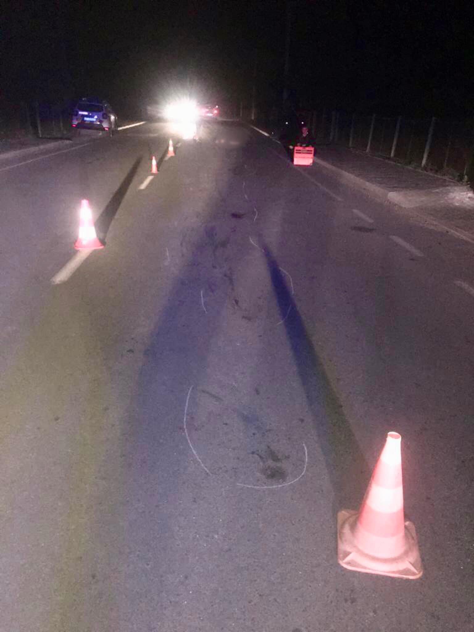 Прикарпатські поліцейські розшукують водія, який насмерть збив пішохода і втік