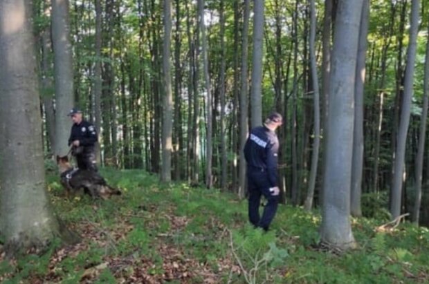 Трагічно закінчилися пошуки 6-річної дитини: “У зв’язку із виникненням нових обставин”