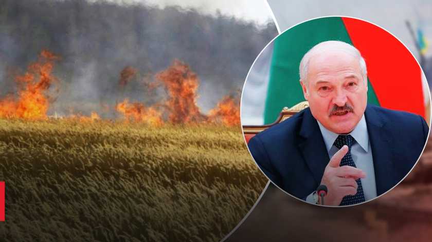 лукашенко цинічно заявив, що Україна сама підпалює свої поля для “страшної картини”