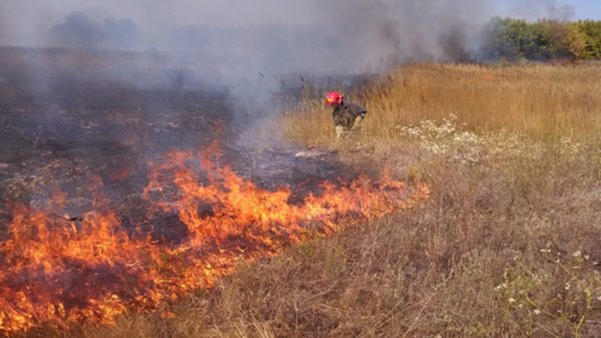 Під час пожежі у полі біля Яворова обгорів 72-річний чоловік