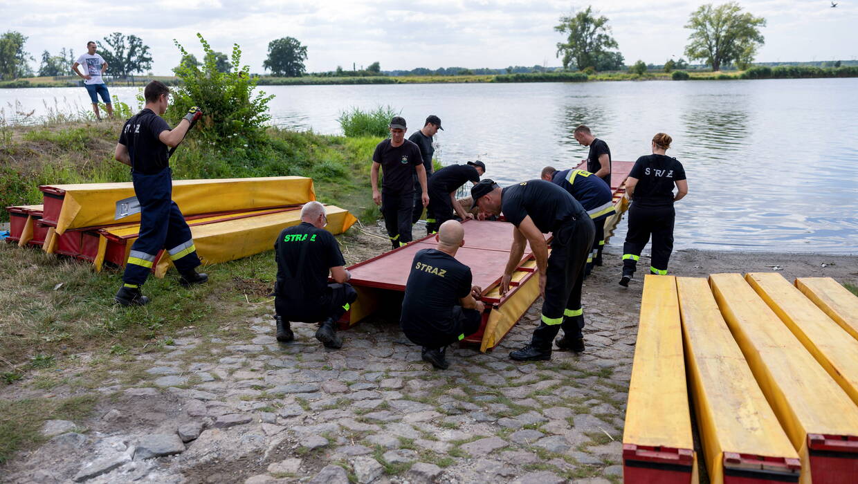 У Польщі пропонують винагороду за допомогу у пошуку винних в отруєнні річки Одер