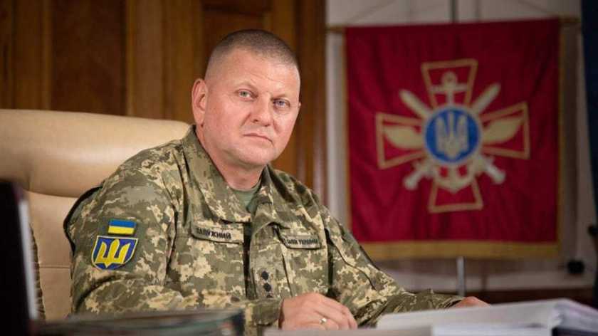 Майже 9 тисяч українських героїв загинули у війні з росією – Залужний