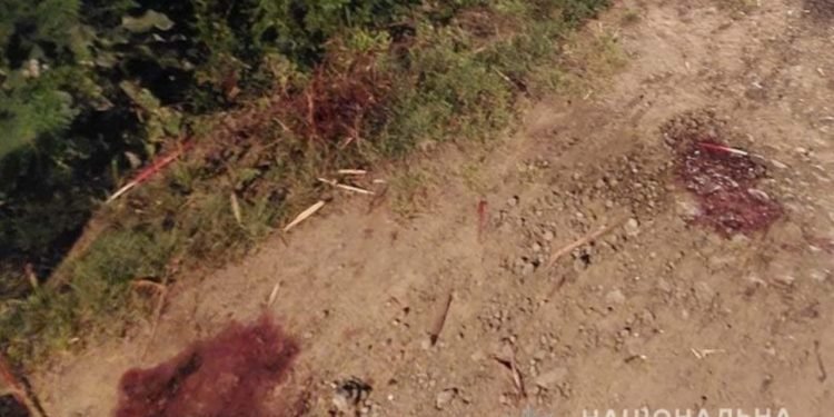 Нанесла понад 15 ударів дерев’яною палицею: на Тернопільщині вбили батька на очах у доньки