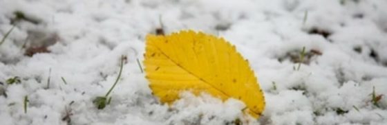 Перший сніг вже незабаром накриє Україну: Сильним морозам таки бути