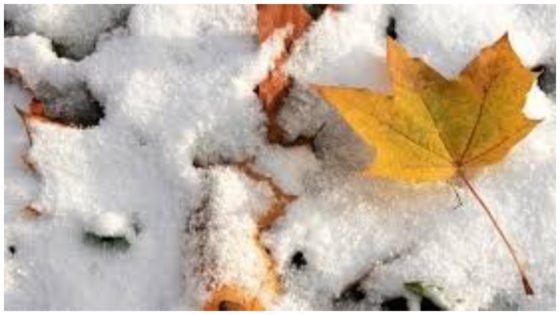 Сніг та заморозки обіцяють на заході України вже в середині листопада
