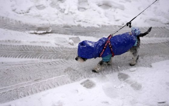 Багато снігу і морози до мінус 20°: прогноз погоди в Україні на найближчі два місяці