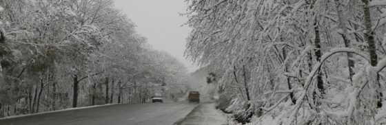 “Масштабний снігопад пре в Україну, вже завтра холодний дощ хлине на ці області”: Синоптики про сніг