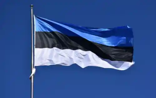 У МЗС Естонії закликали на майбутньому саміті НАТО надати Україні "додаткові кроки" до членства