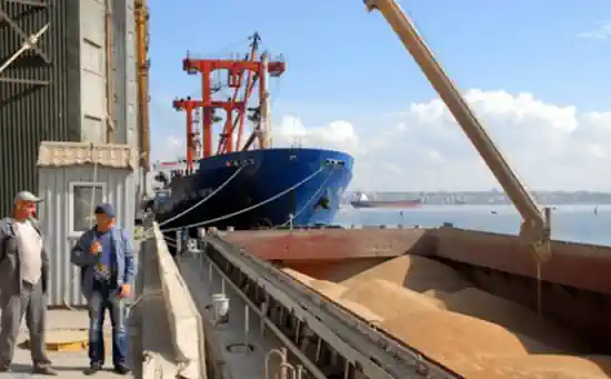 Хорватія пропонує свої порти для транспортування українського зерна